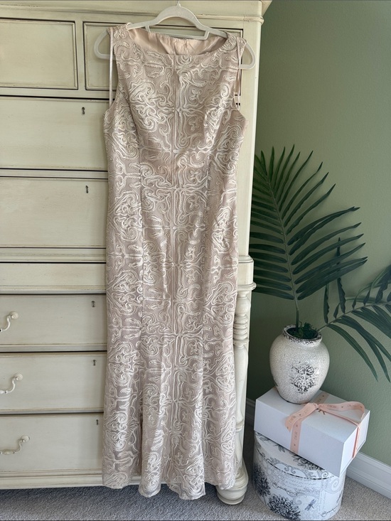 Katherine Kelly Dresses & Skirts - Katherine Kelly Elegant Sleeveless Embroidered Evening Dress in Blush size 10